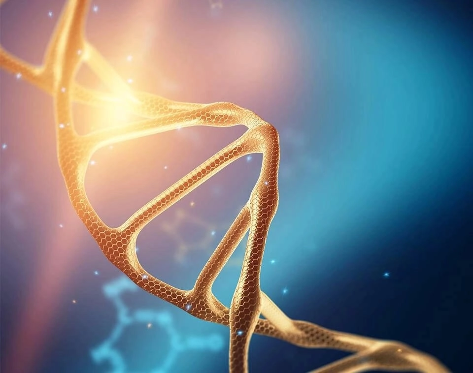 IMAGEM ILUSTRATIVA - DNA RNA