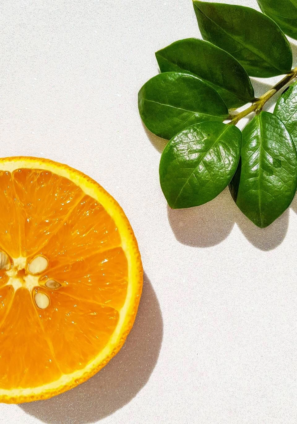 IMAGEM ILUSTRATIVA - GROWTH SUPPLEMENTS - Fatia de laranja grande cortada em um fundo branco