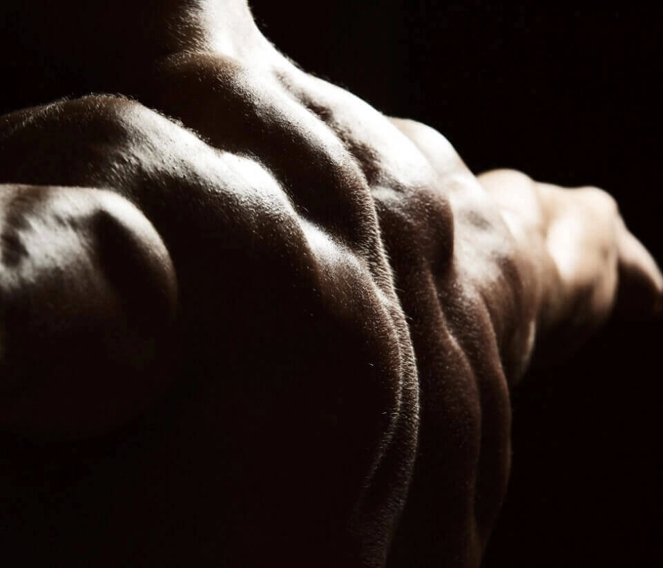 GROWTH SUPPLEMENTS - Imagem ilustrativa costas musculosas