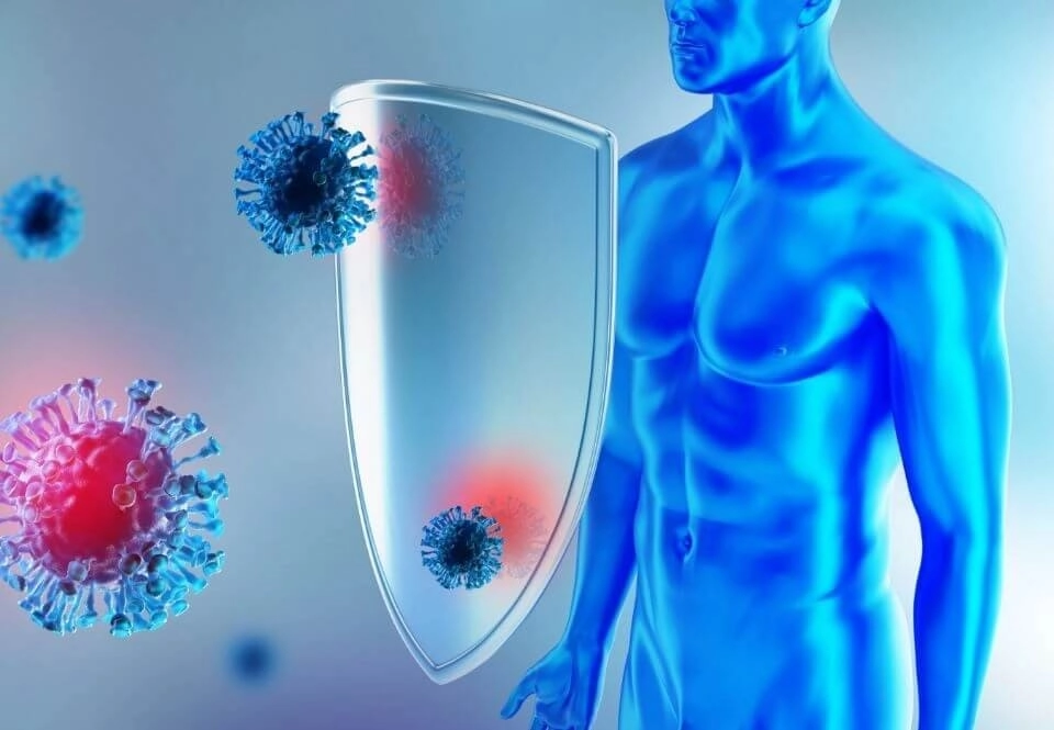 IMAGEM ILUSTRATIVA - ESCUDO PROTEGENDO CORPO HUMANO COMO SISTEMA IMUNOLÓGICO