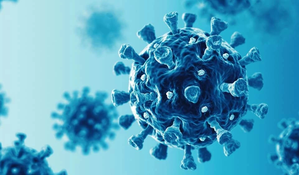 IMAGEM ILUSTRATIVA - BACTERIA AZUL