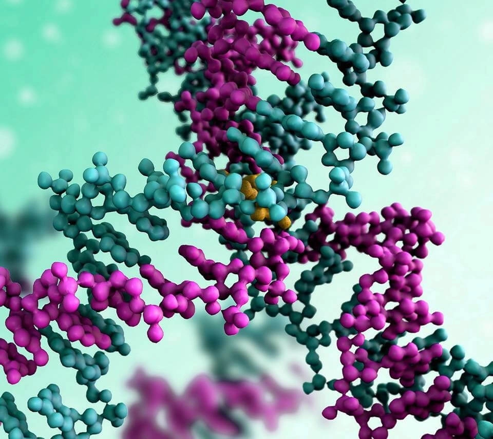 IMAGEM ILUSTRATIVA - MOLECULAS DNA RNA