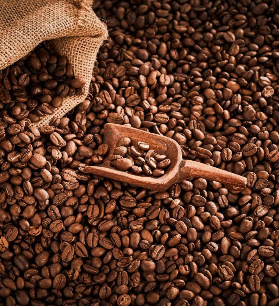 GROWTH SUPPLEMENTS - Imagem ilustrativa grãos de café