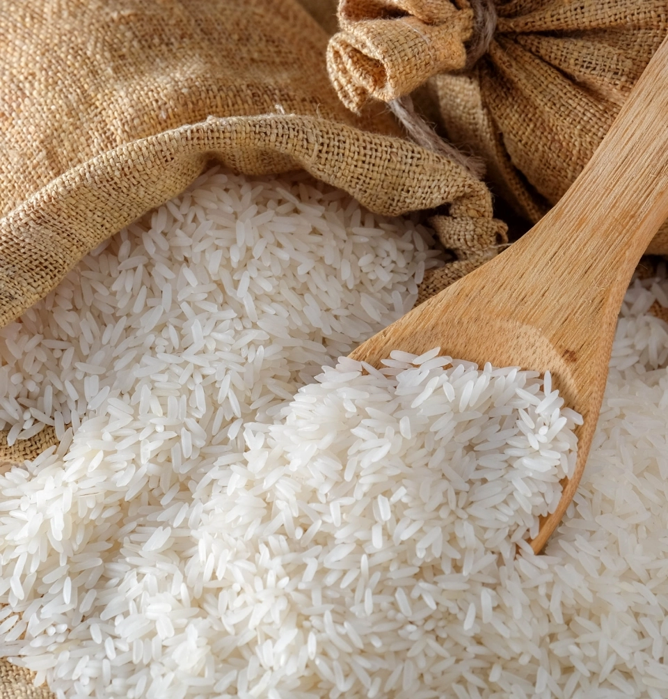GROWTH SUPPLEMENTS - Imagem ilustrativa arroz