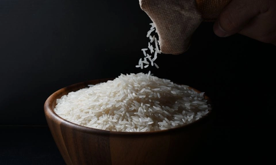 GROWTH SUPPLEMENTS - Imagem ilustrativa arroz