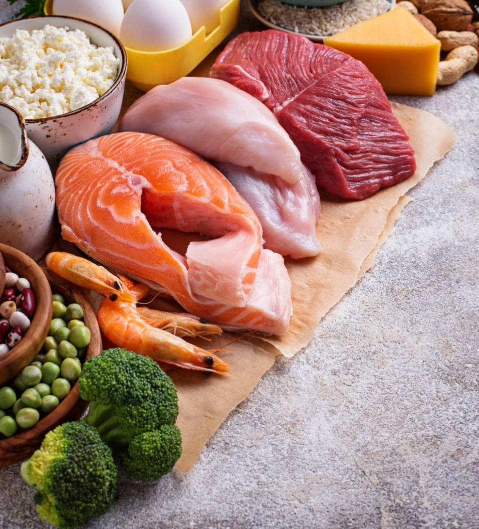 GROWTH SUPPLEMENTS - Imagem ilustrativa alimentos fontes de proteína