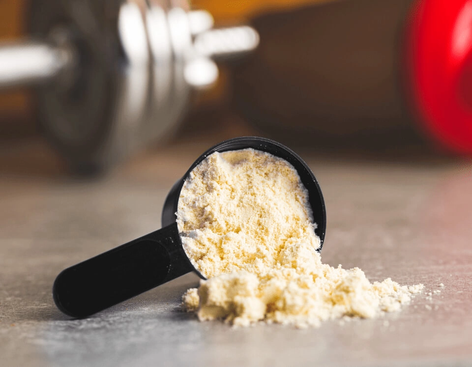 GROWTH SUPPLEMENTS - Imagem ilustrativa scoop com whey protein