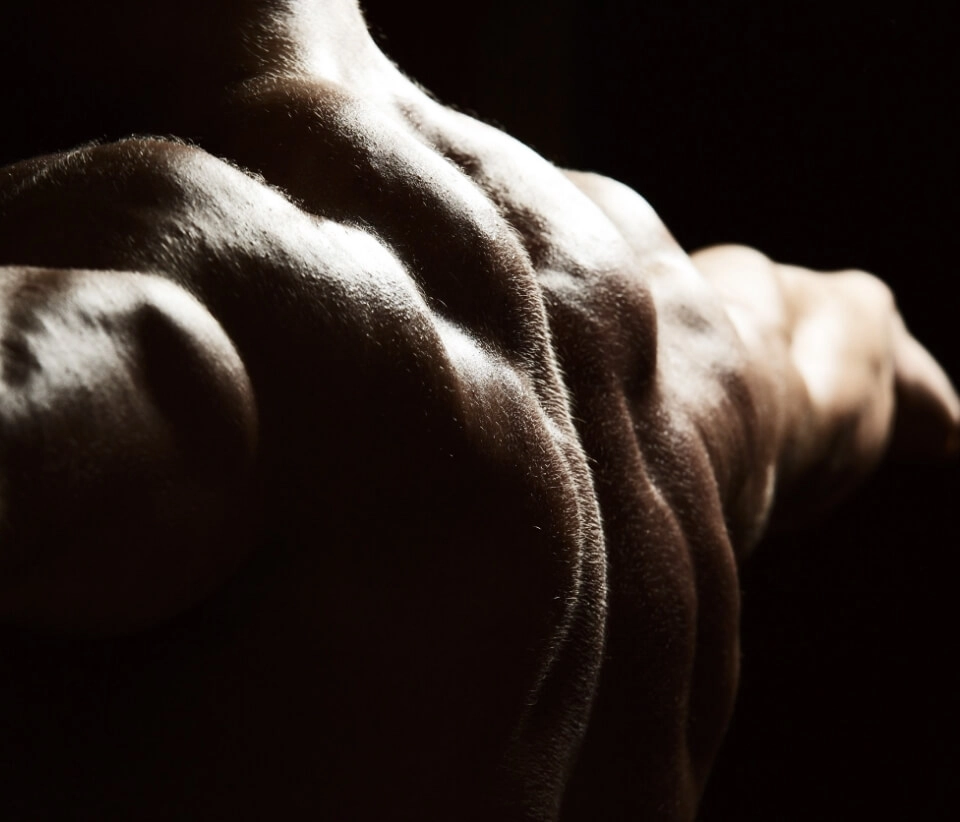 GROWTH SUPPLEMENTS - Imagem ilustrativa costas musculosas de uma pessoa