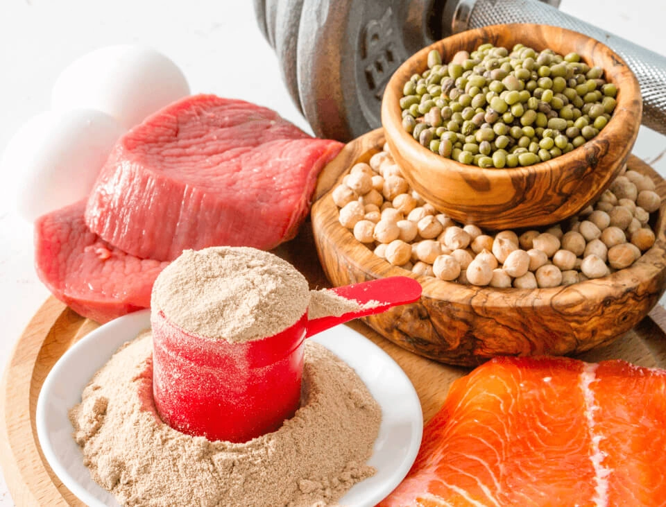 GROWTH SUPPLEMENTS - Imagem ilustrativa fontes de proteína