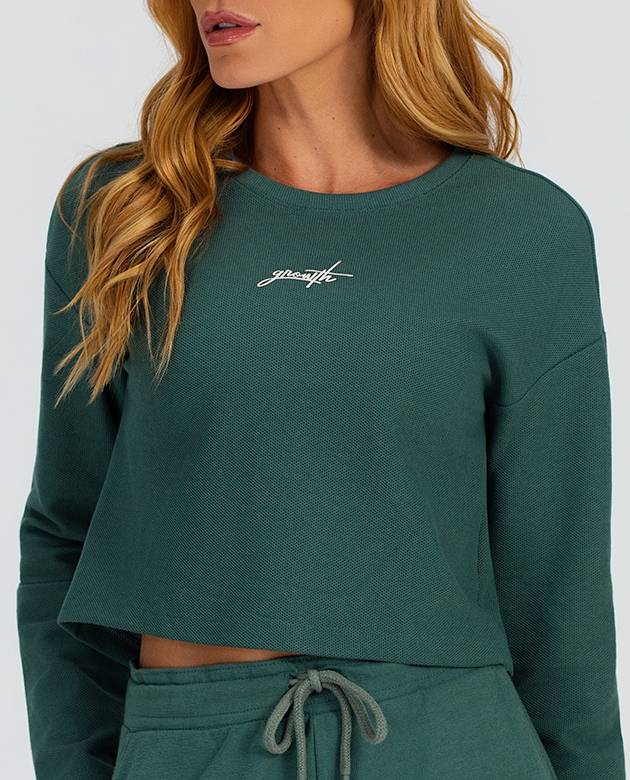 Camiseta manga longa moletinho verde Amazonia