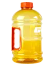 Galão Laranja 2 Litros