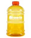 Galão Laranja 2 Litros