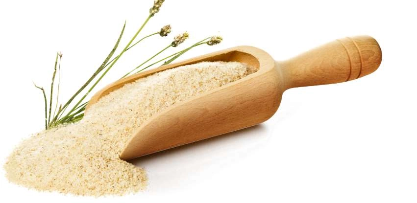 GROWTH SUPPLEMENTS - Imagem ilustrativa pá de bambu com 100% Psyllium