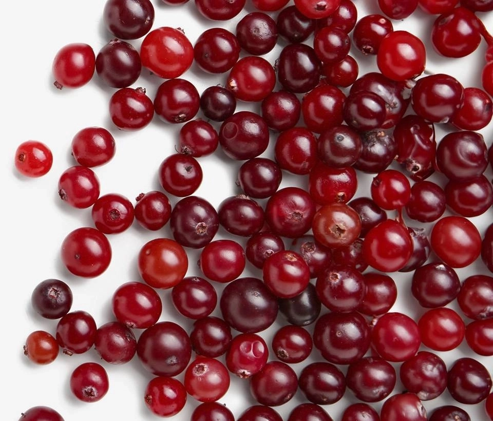 GROWTH SUPPLEMENTS - Imagem ilustrativa cranberries