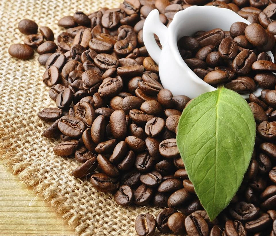 GROWTH SUPPLEMENTS - IMAGEM ILUSTRATIVA DE UMA MESA COM VARIOS GRÃOS DE CAFÉ 