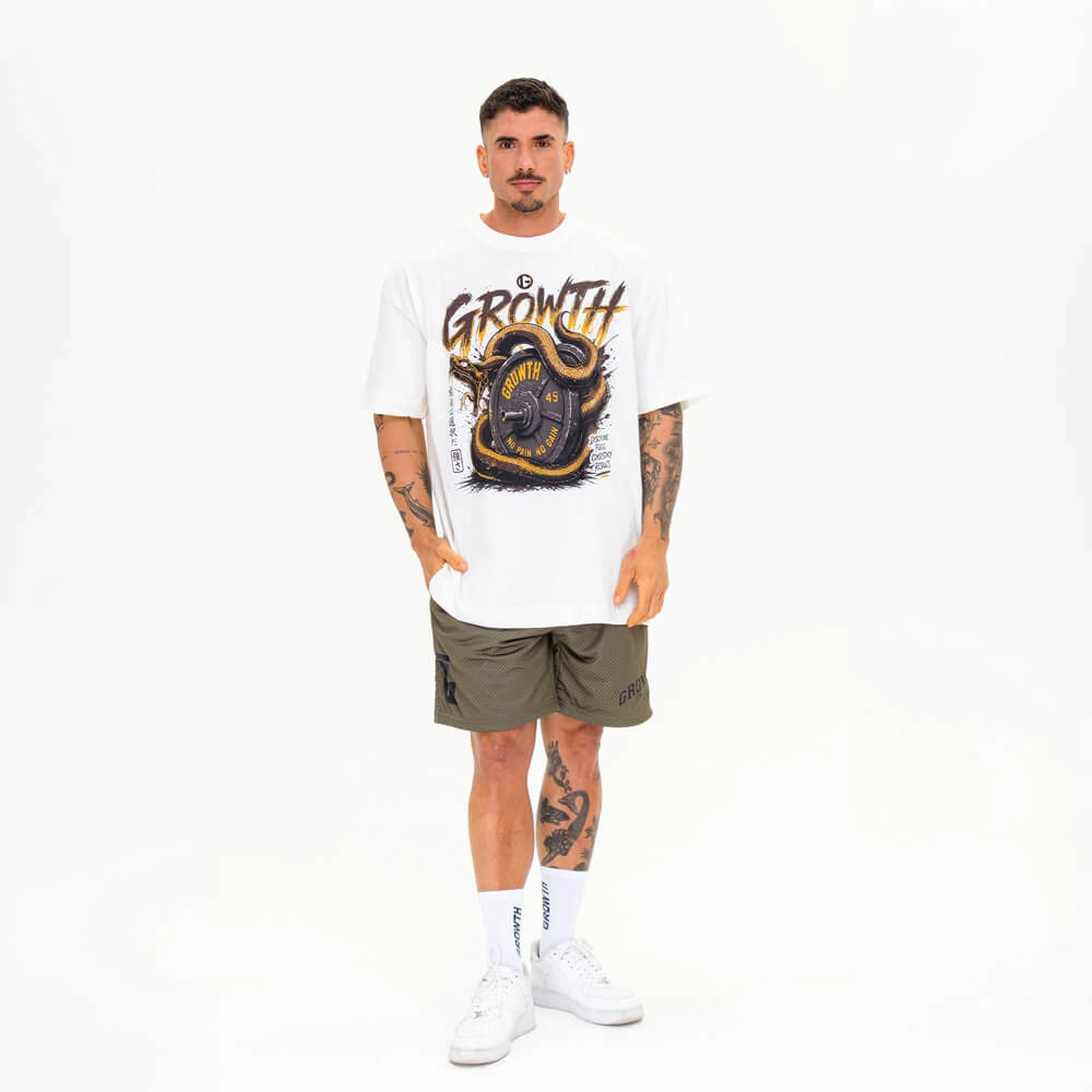 Camiseta Growth Oversized No Pain No Gain